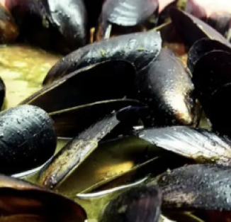 Mussels-White-Wine-Butter-Garli22c